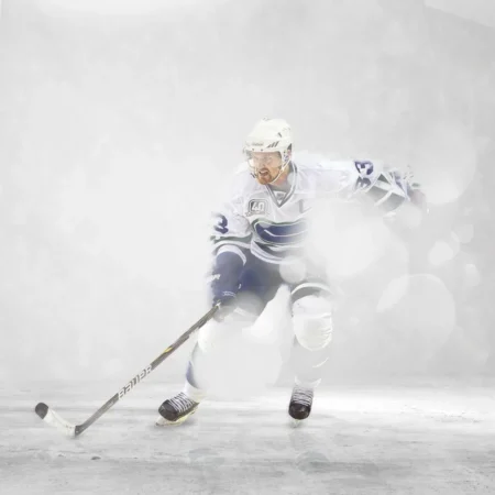 Hockey Leagues in North America